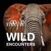 Virry VR: Wild Encounters Box Art Front